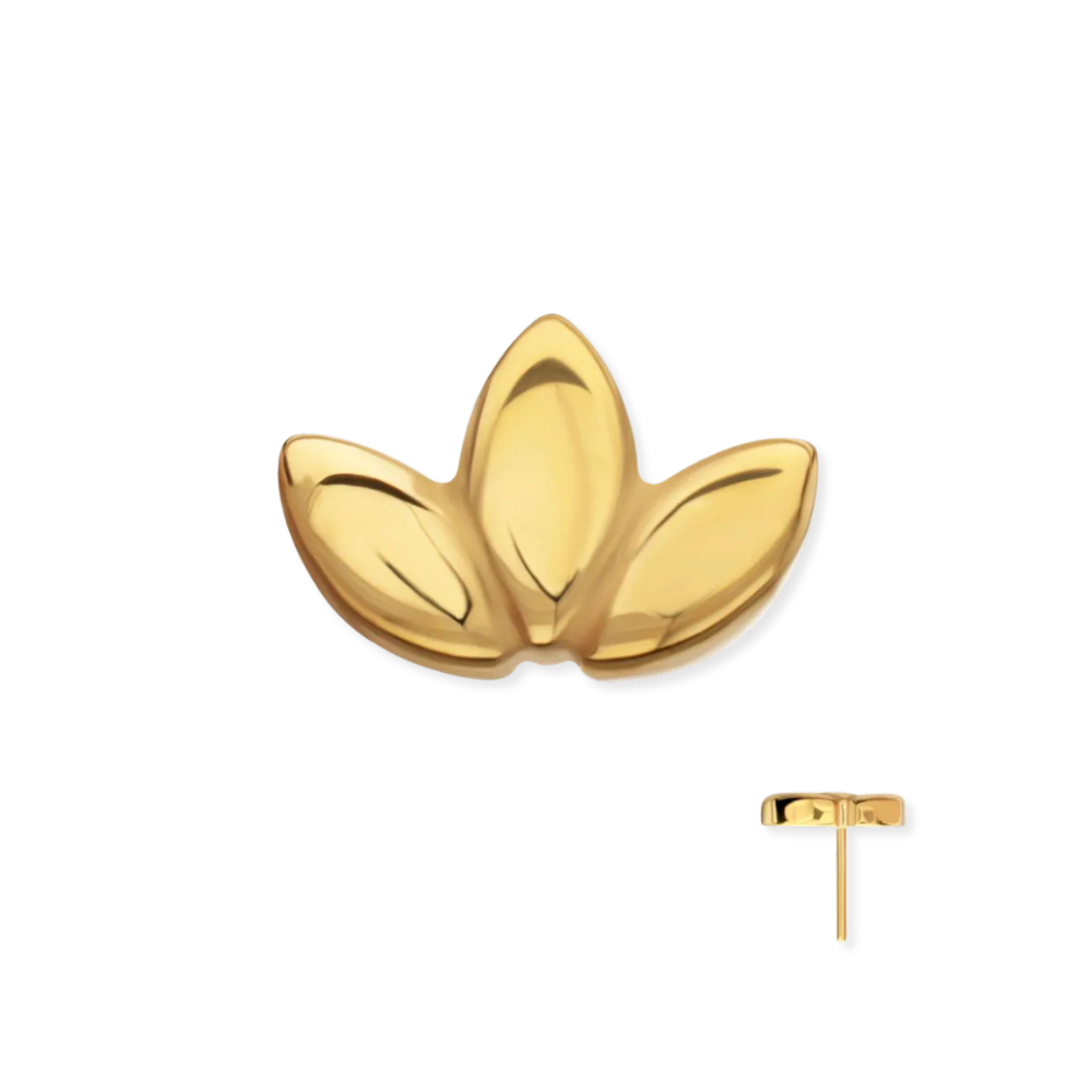 Lotus Flat Back Top